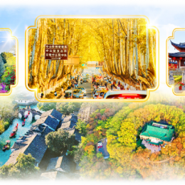 Tour Nam Kinh - Ô Trấn - Thượng Hải