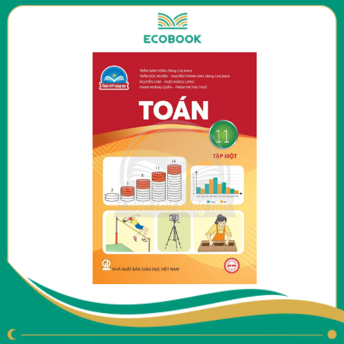 TOÁN 11/1 ( CHÂN TRỜI SÁNG TẠO )