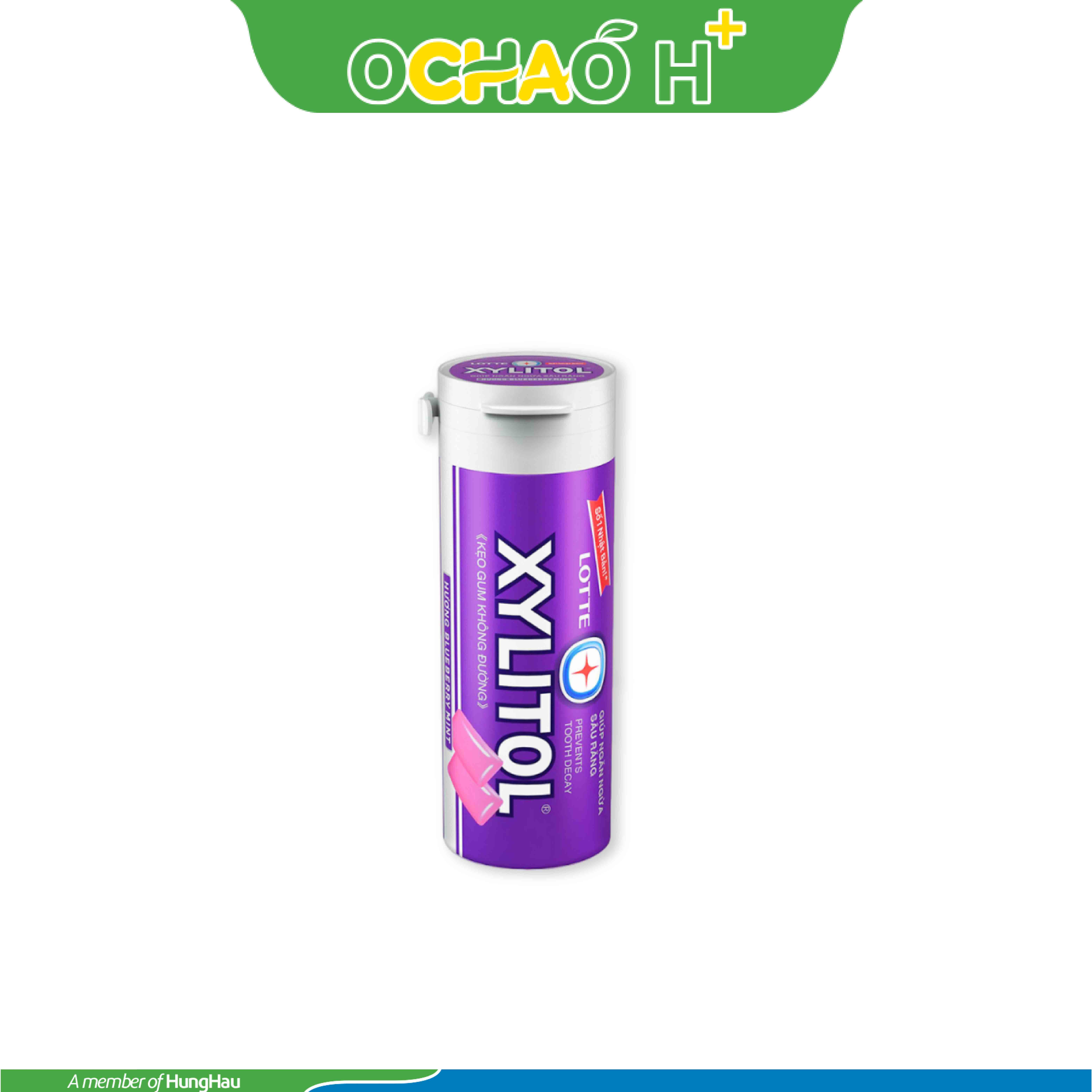 Kẹo Gum Xylitol BlueBerry hủ 26.1g