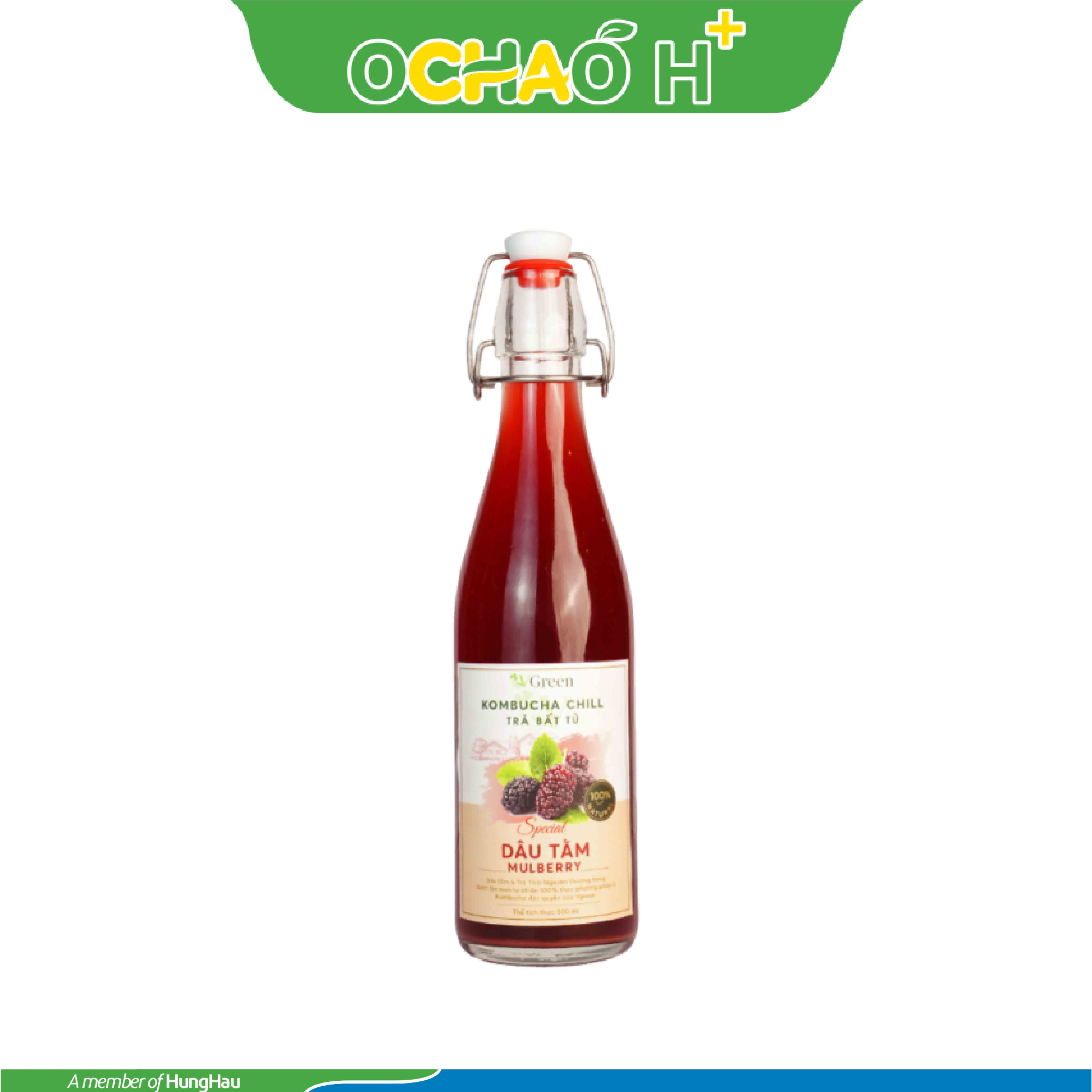 Vkombucha Chill trà bất tử Dâu tằm Chai 500ml
