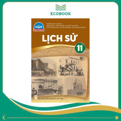  LỊCH SỬ 11 ( CHÂN TRỜI SÁNG TẠO )