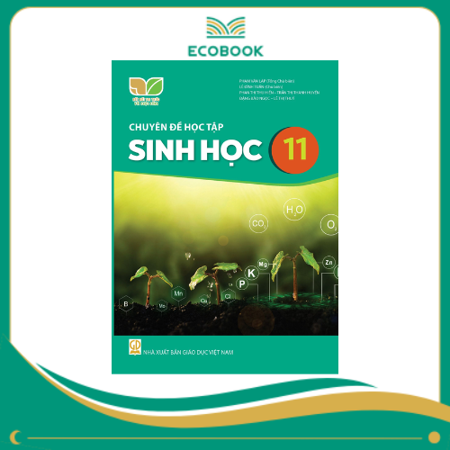 CĐHT SINH HỌC 11 ( KNTT )