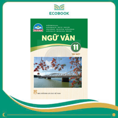  NGỮ VĂN 11/1 ( CHÂN TRỜI SÁNG TẠO )