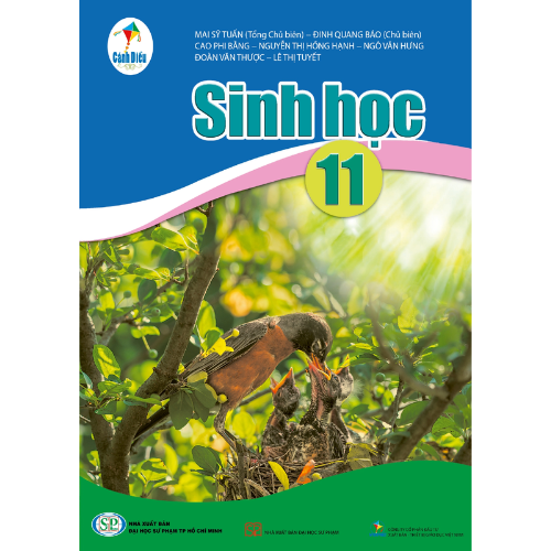img-sp